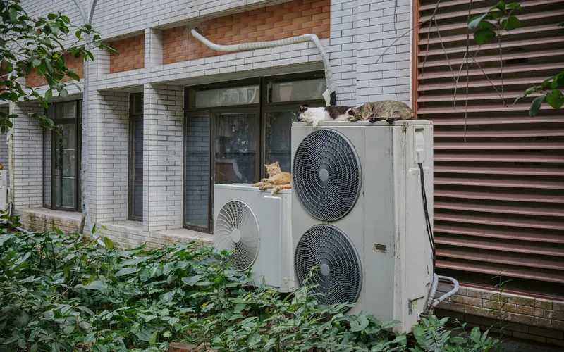Groupes extérieurs posés au sol contre la façade.